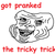 :icongirleatsboyclothing: