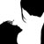 :icongirlinlove-93: