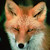 GirlWithAPen :icongirlwithapen: