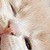 :icongirlwithsoftlips: