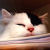 :icongirlxinxthexrain: