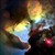 :icongironatsu-platypus: