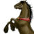 :icongiuggi19: