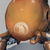 :icongiuscb:
