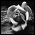 :icongiveandtake: