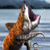 :icongivemeallyourocelots: