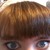 :icongix-trixxd: