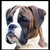 :icongixxerman: