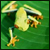 :icongizmocrat: