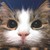 :icongizmostareplz: