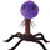 :icongjotkinds: