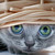 :iconglacemokton:
