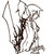 :iconglaciergirl: