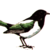 :icongladaskatan:
