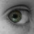 :iconglamfish: