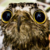 :iconglamorous-garra-rufa: