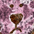 :iconglarus: