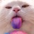 :iconglasertron: