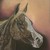 GlassclawStudio :iconglassclawstudio: