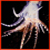 :iconglassoctopus: