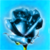 :iconglassrose18: