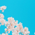 :iconglassshields: