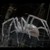 :iconglassspiider: