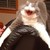 :iconglauqualafranck: