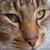 :iconglazed-illusion: