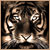 :iconglenndesigns: