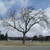 :iconglennelert:
