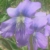 :iconglimpseofgodsbeauty: