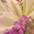:iconglittereyed: