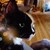 :iconglitterfaecat: