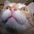 :iconglittergirl0211: