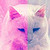 :iconglitterguns: