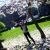 :iconglittering-human-bei: