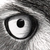 :iconglitterlust: