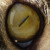 :iconglittermonster: