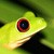 :iconglobalgraphic: