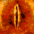 :icongloin: