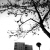 :icongloomcookie18: