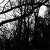 :icongloomofnight: