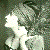 :iconGloriaSwanson: