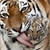 :iconglory-of-retsina: