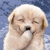 :icongloryrave: