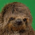 :iconglucephalus-00:
