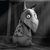 glv46 :iconglv46: