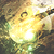 :icongmfc: