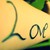 :icongnarlyneon: